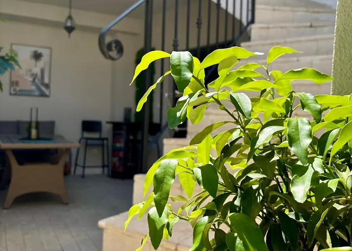 Casa Brullevi - U Staroj Jezgri S Pogledom Na *